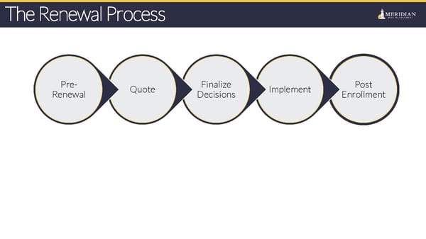 Meridian Risk Management Overview - Page 8